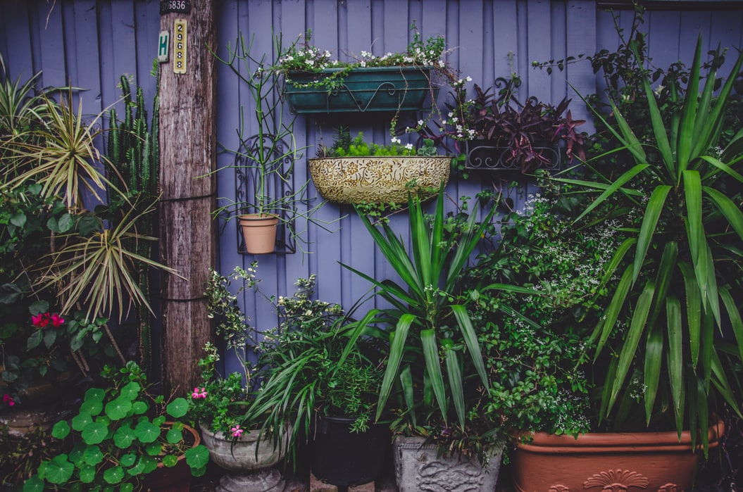 kunstplanten