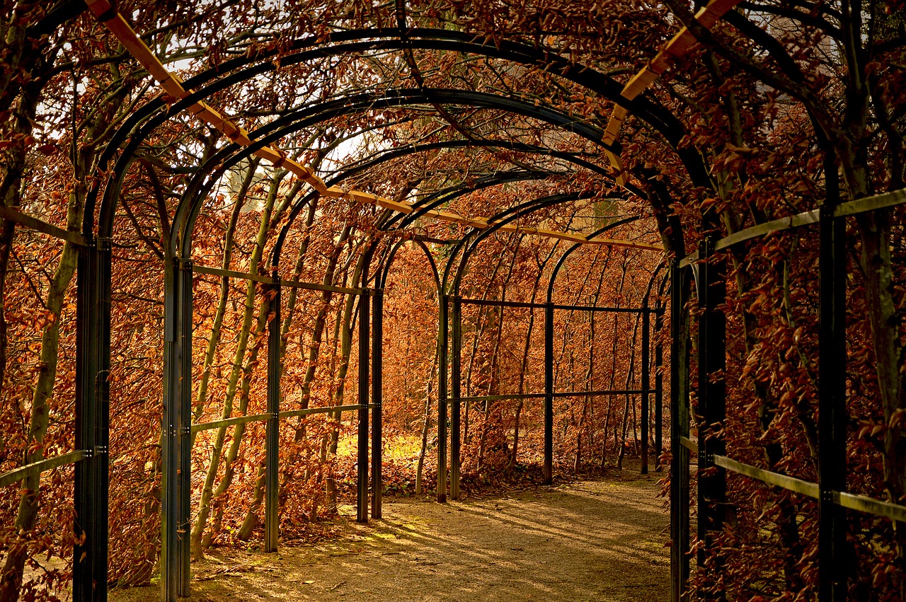 siergrassen
